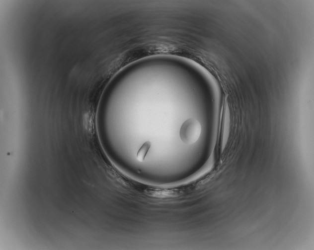 X0000108480177200904091444