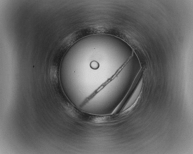 X0000108480178200904091444