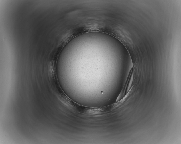X0000108480179200904091444