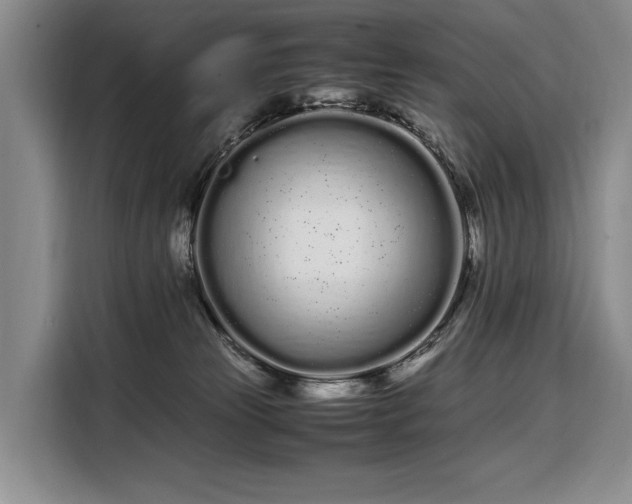 X0000108480181200904091444