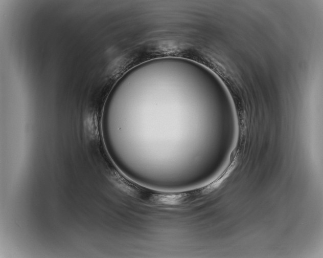 X0000108480182200904091444
