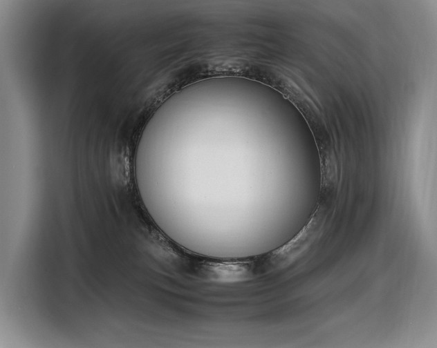 X0000108480183200904091444