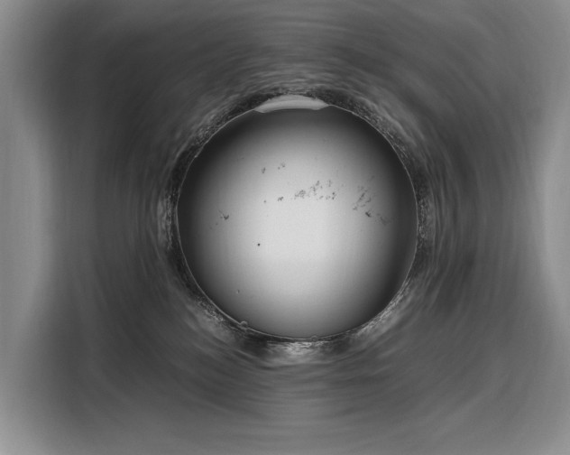 X0000108480184200904091444