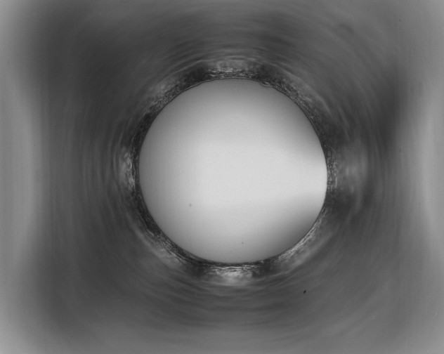 X0000108480187200904091445