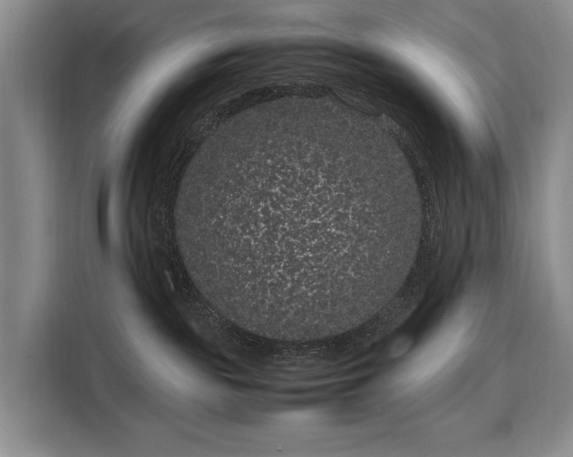 X0000108480189200904091445