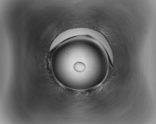X0000108480192200904091445