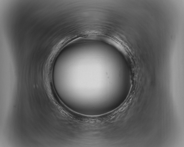 X0000108480193200904091444