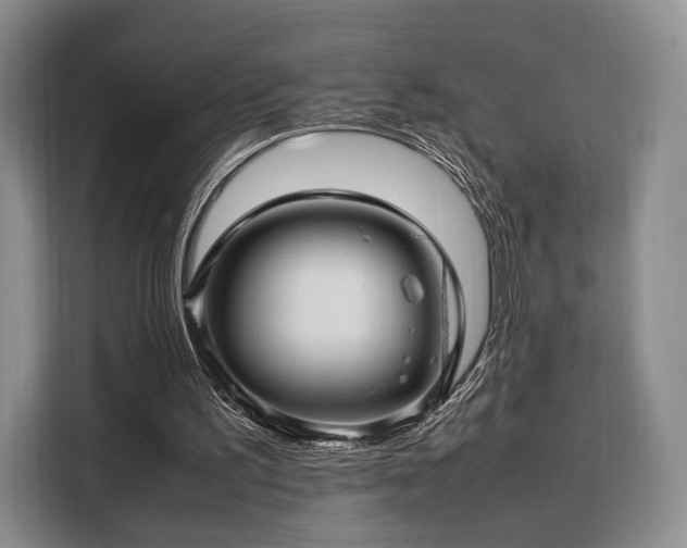 X0000108480195200904091444