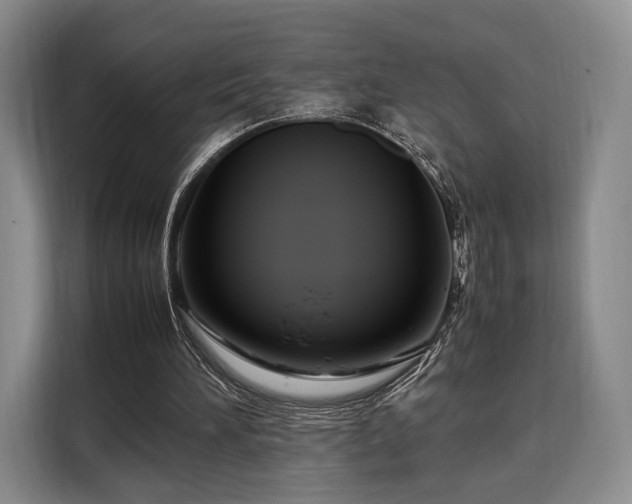 X0000108480196200904091444
