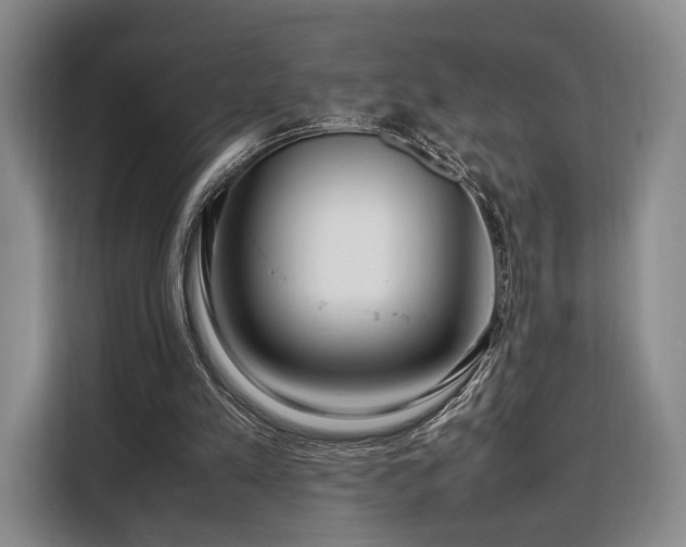 X0000108480197200904091444