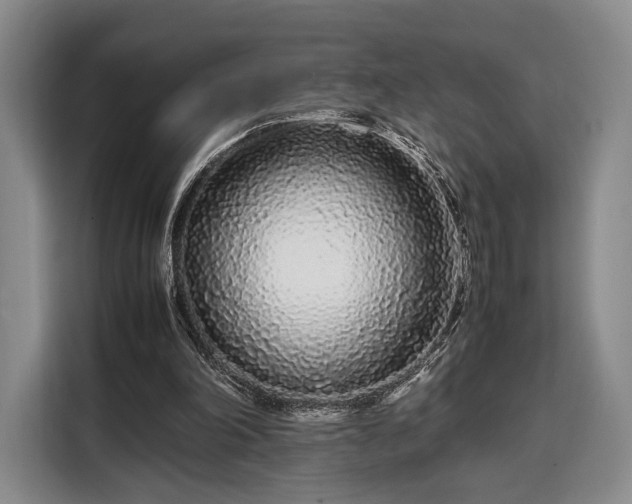 X0000108480198200904091444