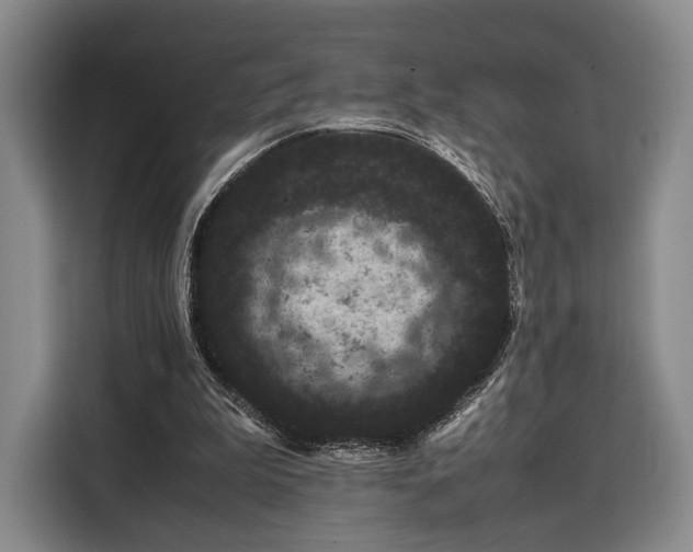 X0000108480199200904091444
