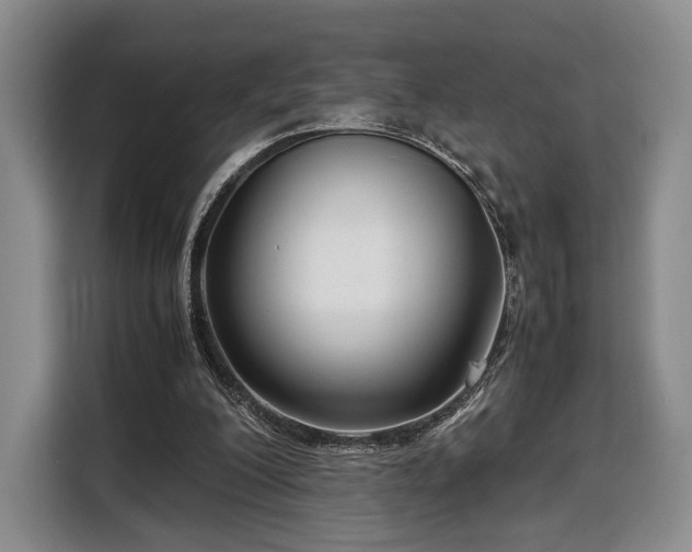 X0000108480200200904091444