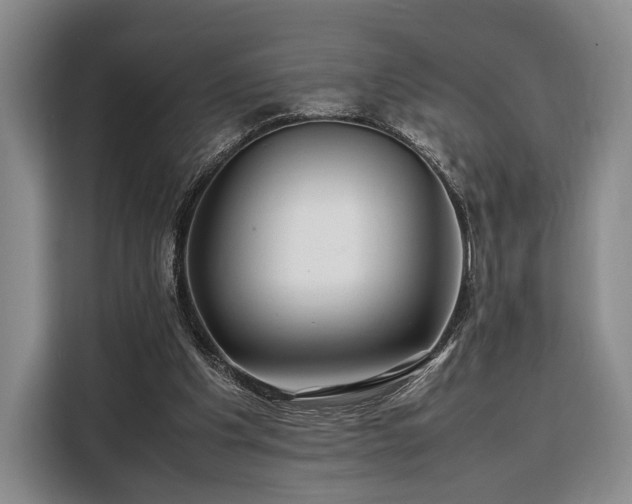 X0000108480201200904091444