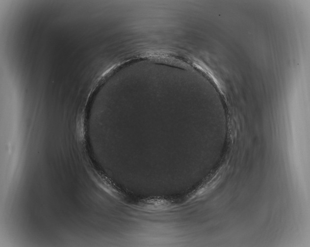 X0000108480203200904091444