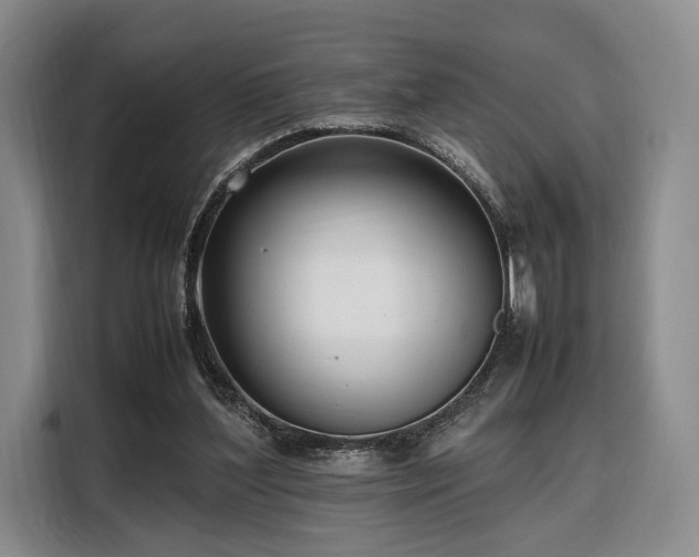 X0000108480204200904091444