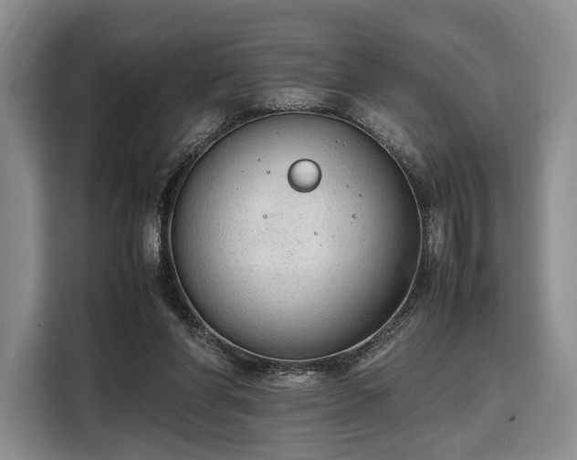 X0000108480206200904091444