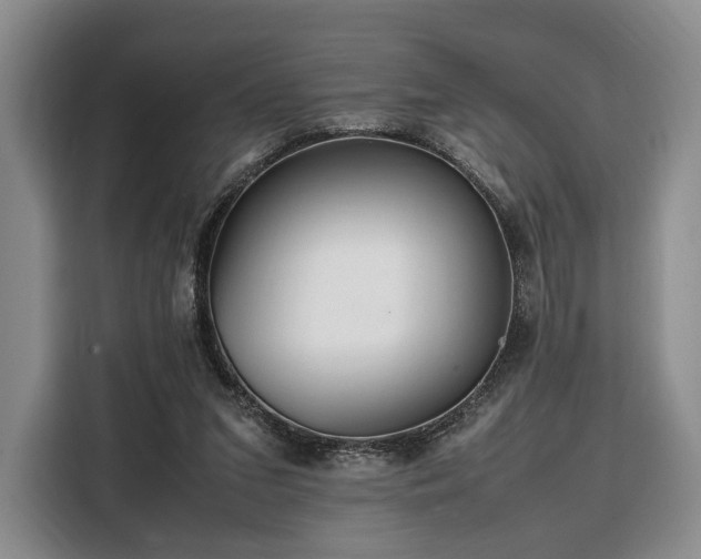 X0000108480207200904091444