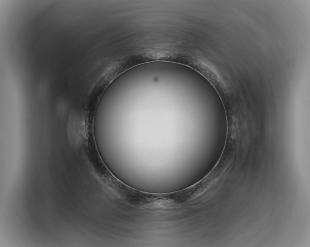 X0000108480210200904091444