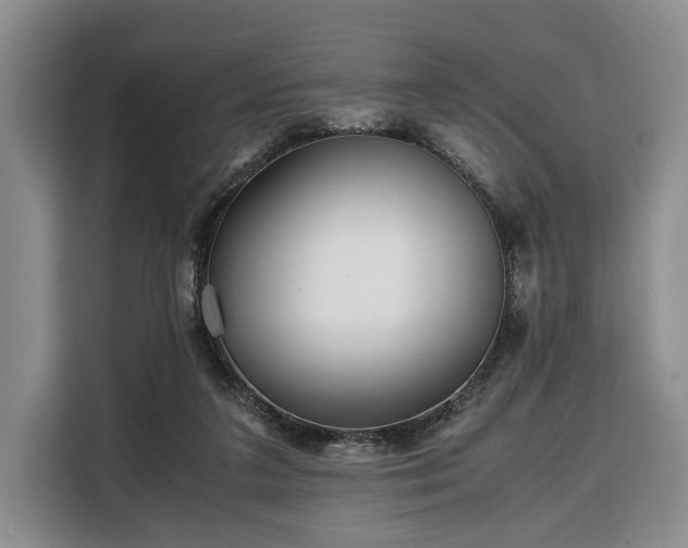 X0000108480211200904091444