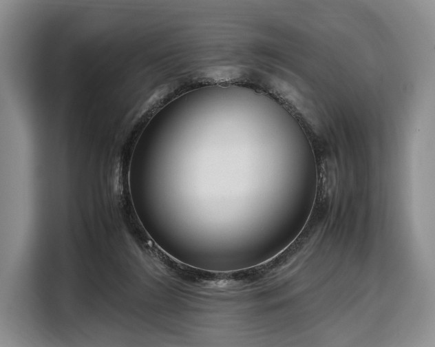 X0000108480212200904091444