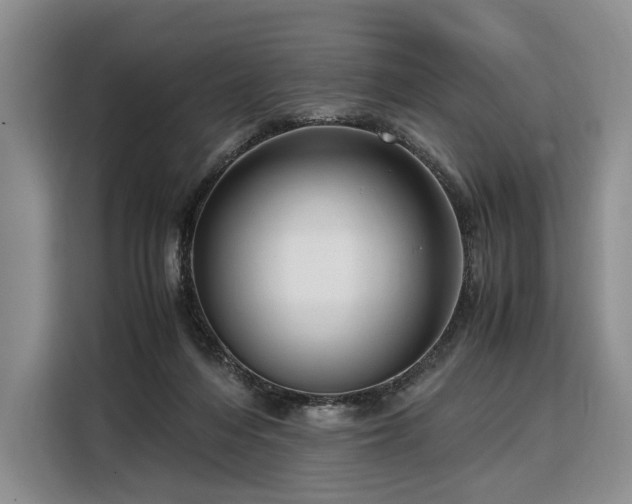 X0000108480216200904091444