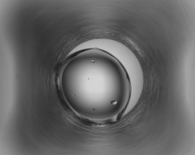 X0000108480217200904091444