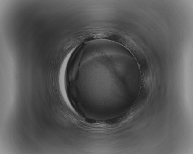 X0000108480219200904091444