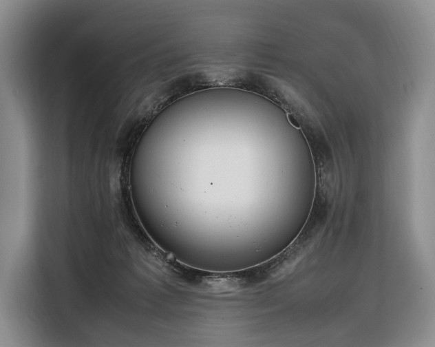 X0000108480221200904091444