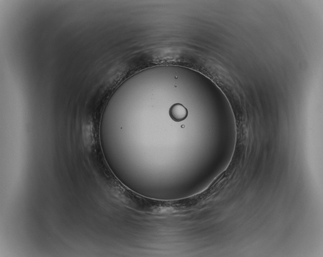 X0000108480224200904091444