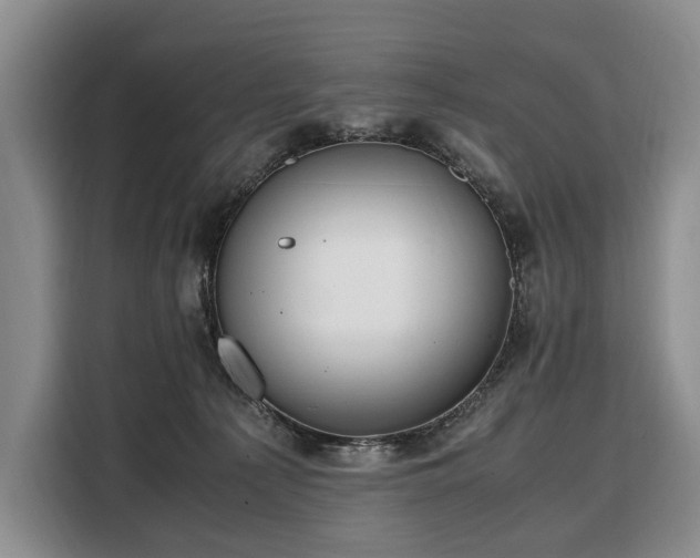 X0000108480225200904091444