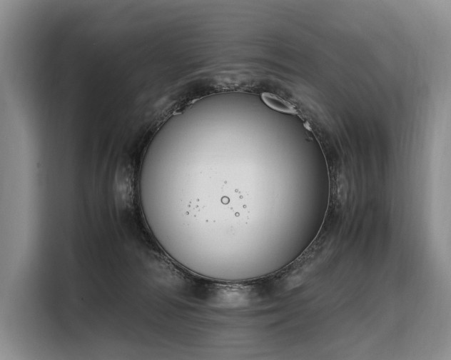 X0000108480226200904091444