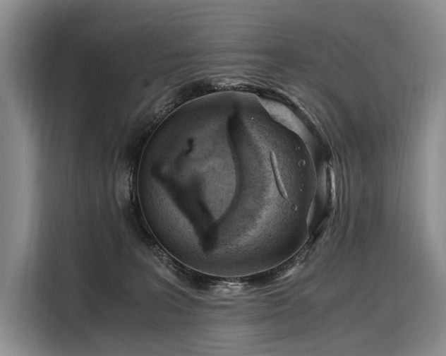 X0000108480227200904091444