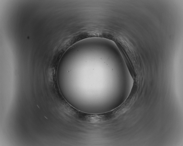 X0000108480229200904091444