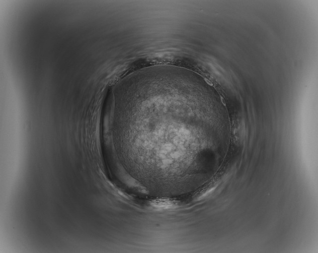 X0000108480231200904091443