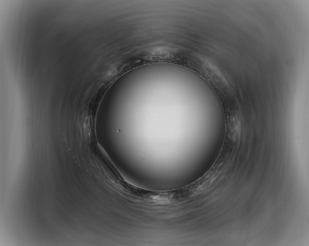 X0000108480232200904091443