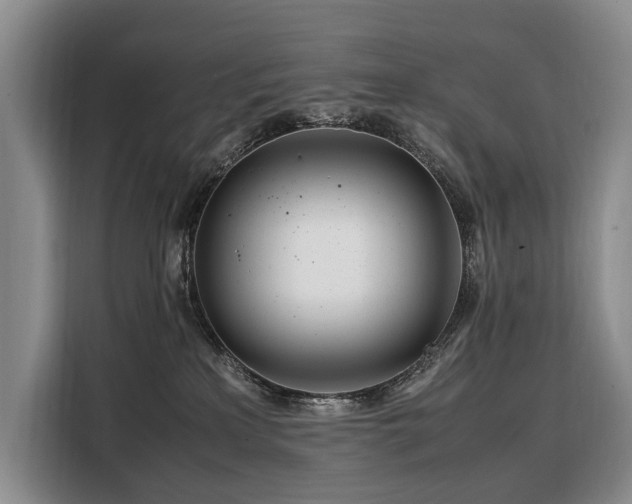 X0000108480233200904091443