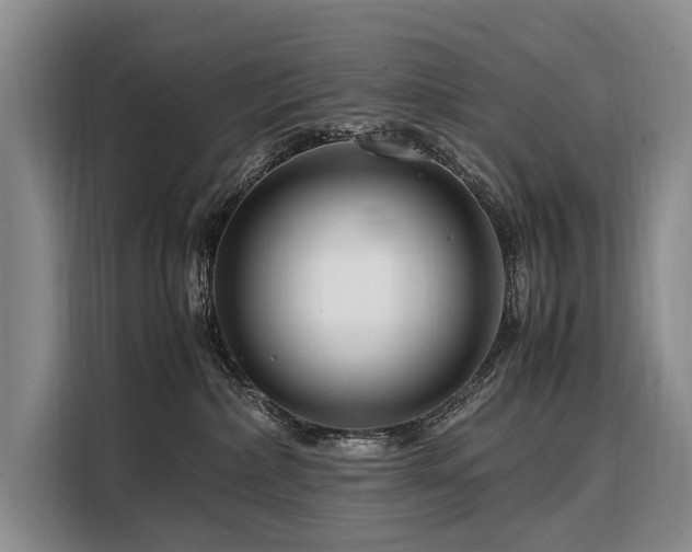 X0000108480236200904091443