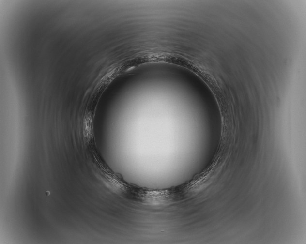 X0000108480240200904091443