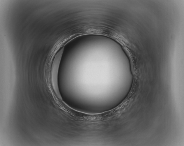 X0000108480241200904091443
