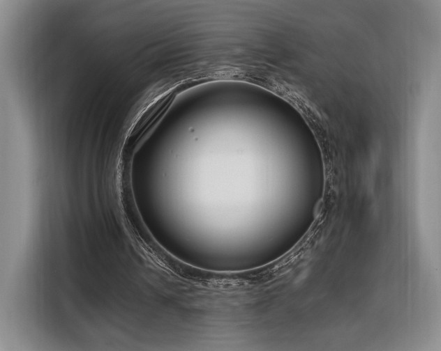 X0000108480242200904091443