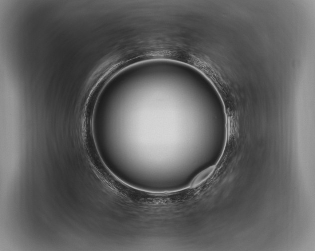 X0000108480243200904091443
