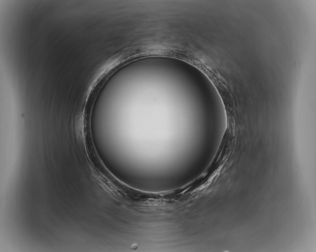 X0000108480244200904091443