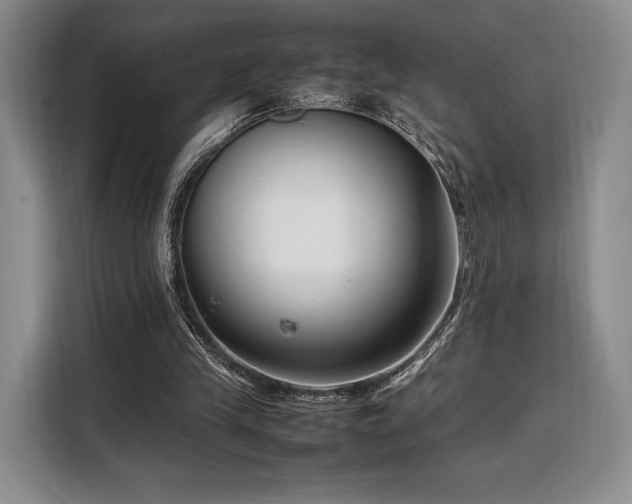 X0000108480245200904091443