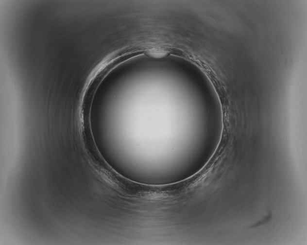 X0000108480246200904091443