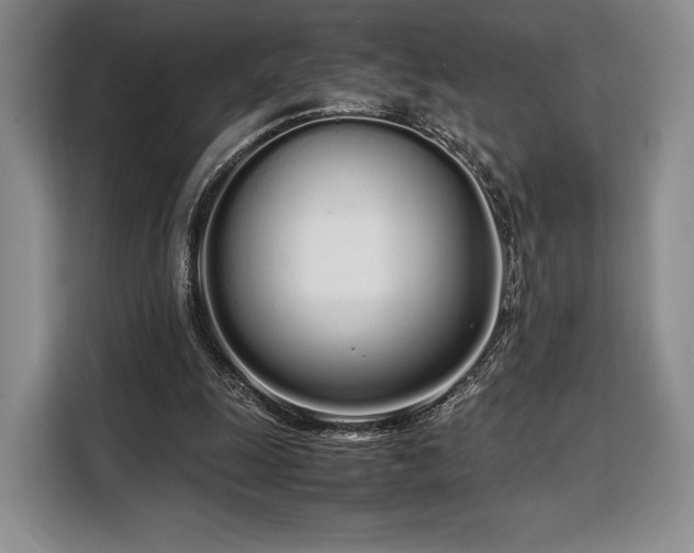 X0000108480247200904091443