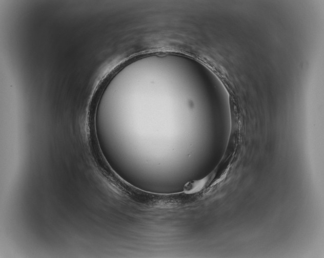 X0000108480248200904091443