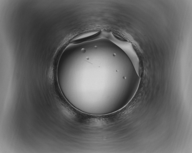 X0000108480250200904091443