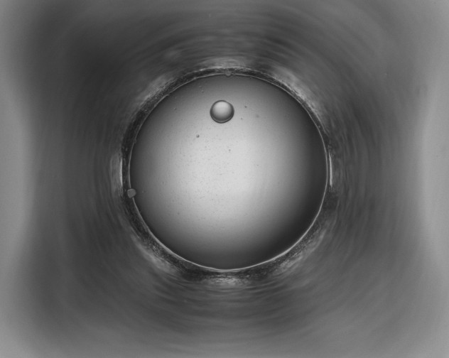 X0000108480253200904091443
