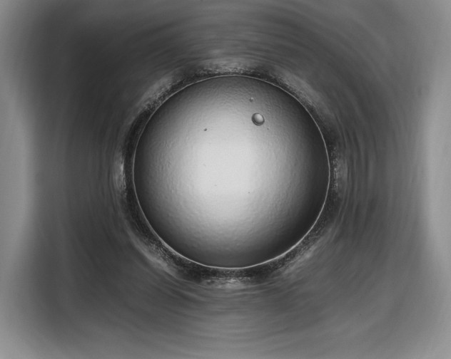 X0000108480254200904091443